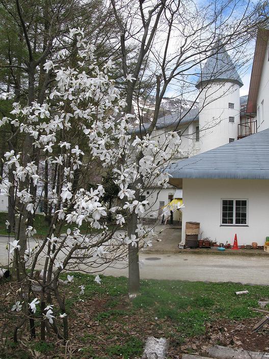 Grindelwald Hotel Yuzawa  Exterior foto